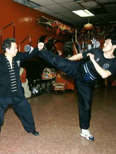 Choy Li Fut kung fu practice informing body mechanics understanding